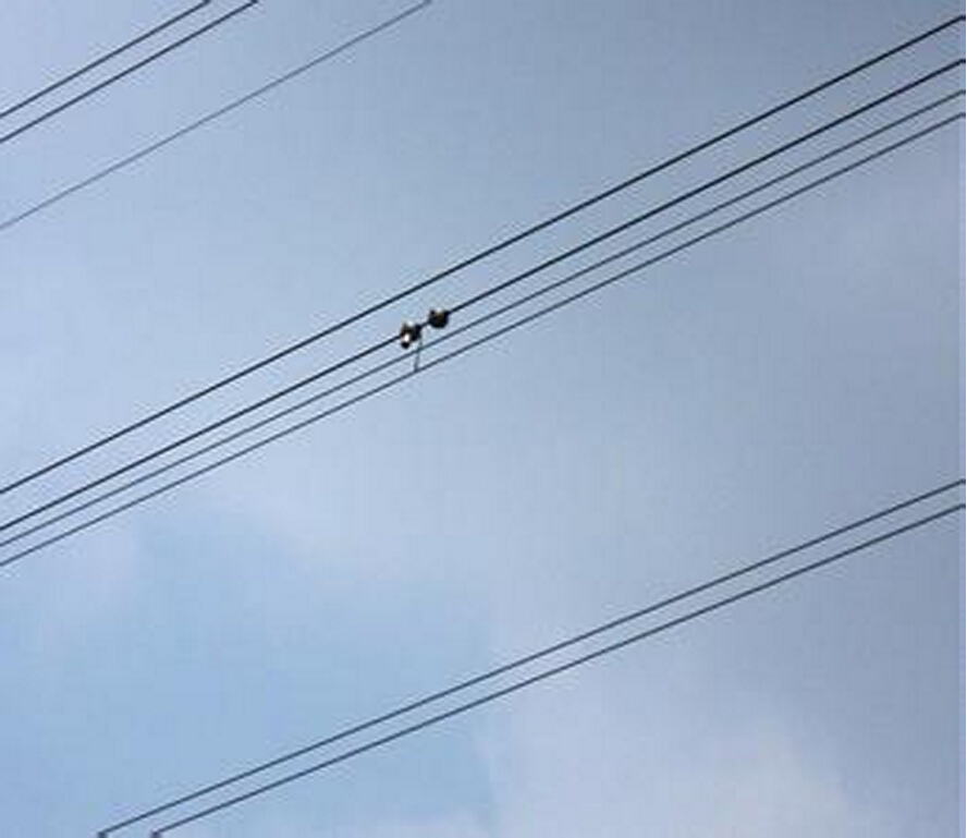 架空輸電線路弧垂在線監(jiān)測預警系統